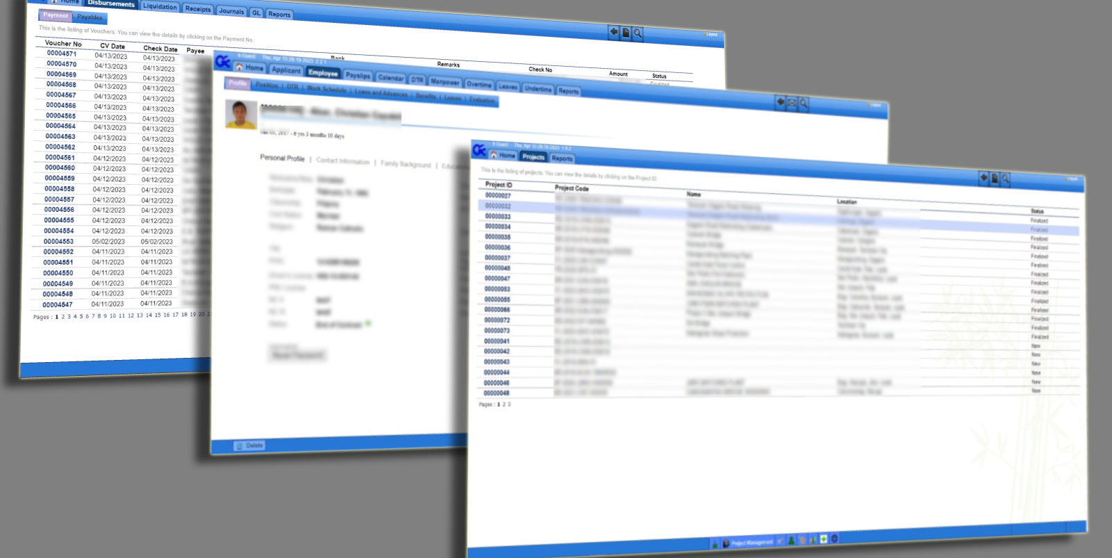 Enterprise Resource Planning (ERP) System Architecture